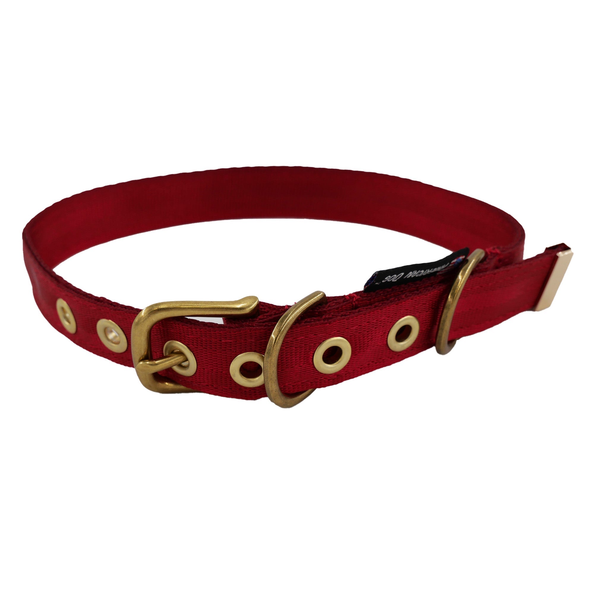 Collars Seatbelt – Dog Collar | Doggo Dream Shop