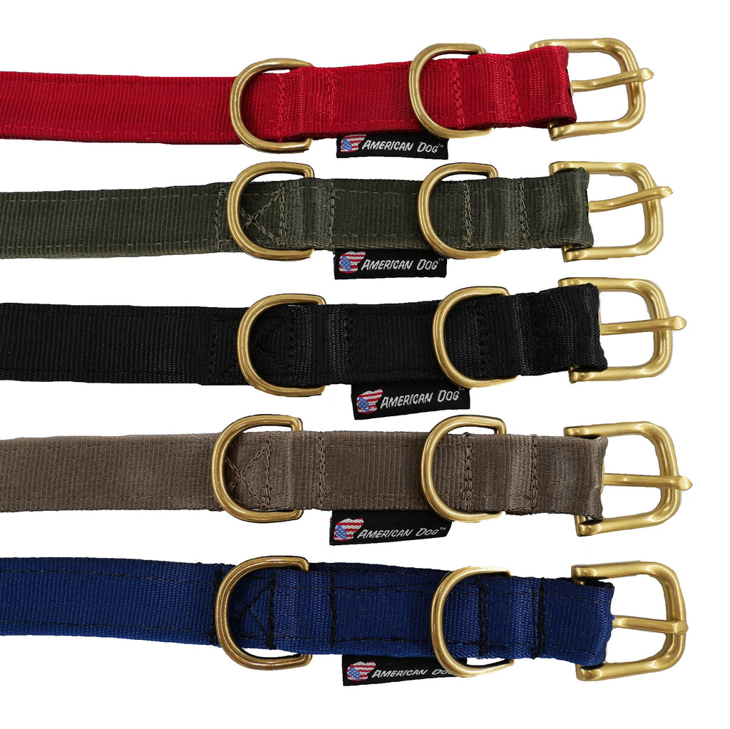 Collars Seatbelt – Dog Collar | Doggo Dream Shop