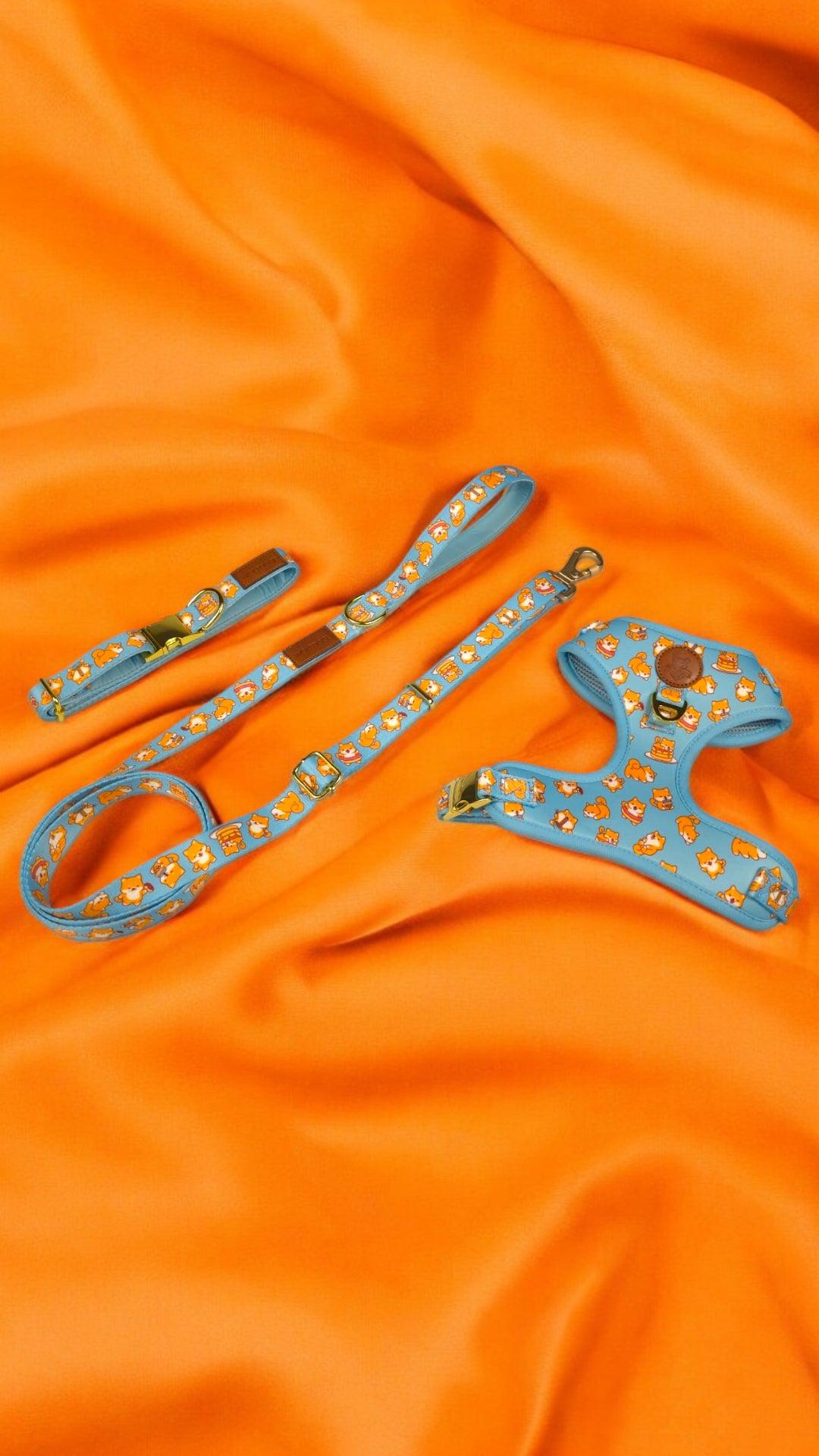 Wolfdoge Shiba Mania Dog Collar – Collars | Doggo Dream Shop