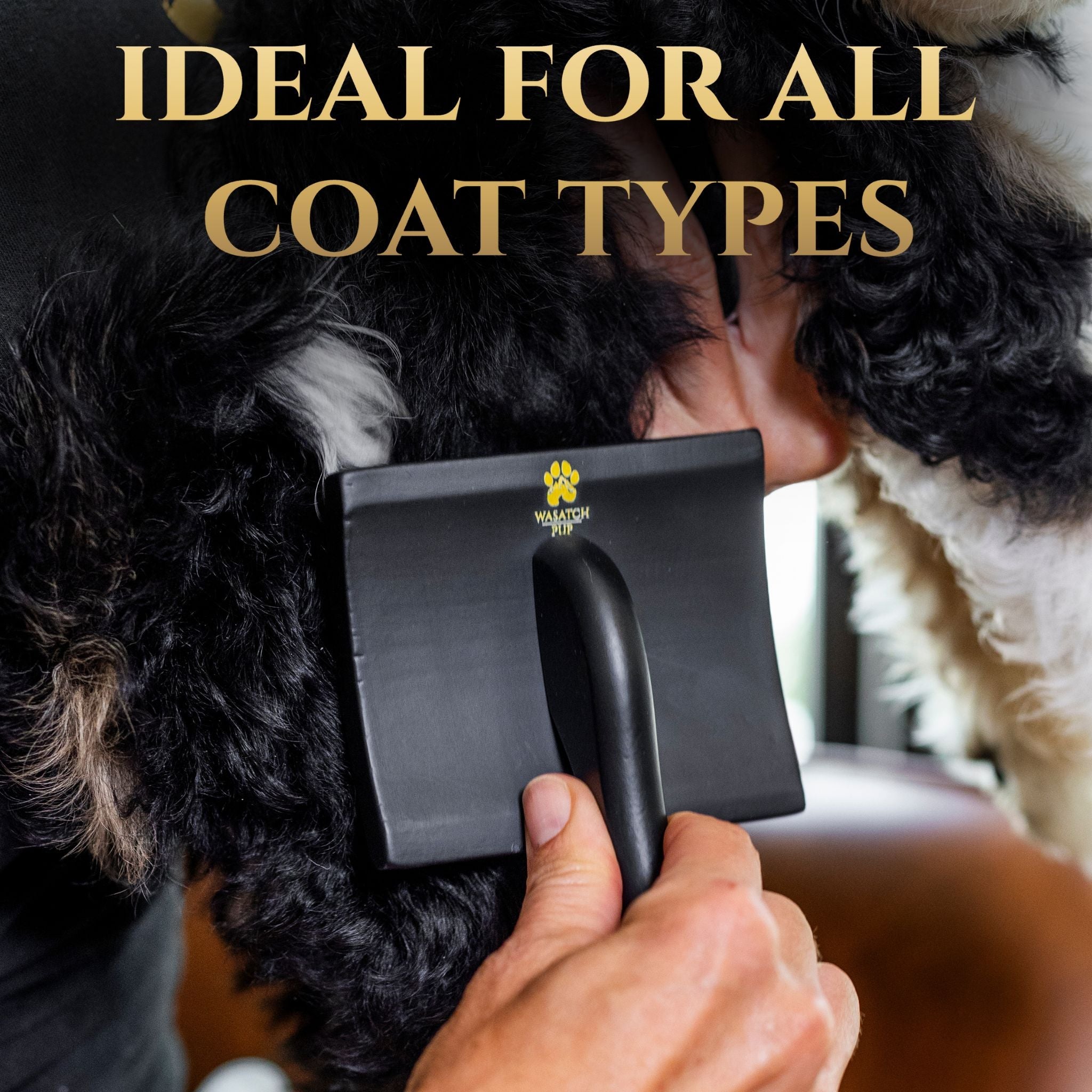 Dog Slicker Brush – Comfort Glide Pins for All Coat Types | Wasatch Pup