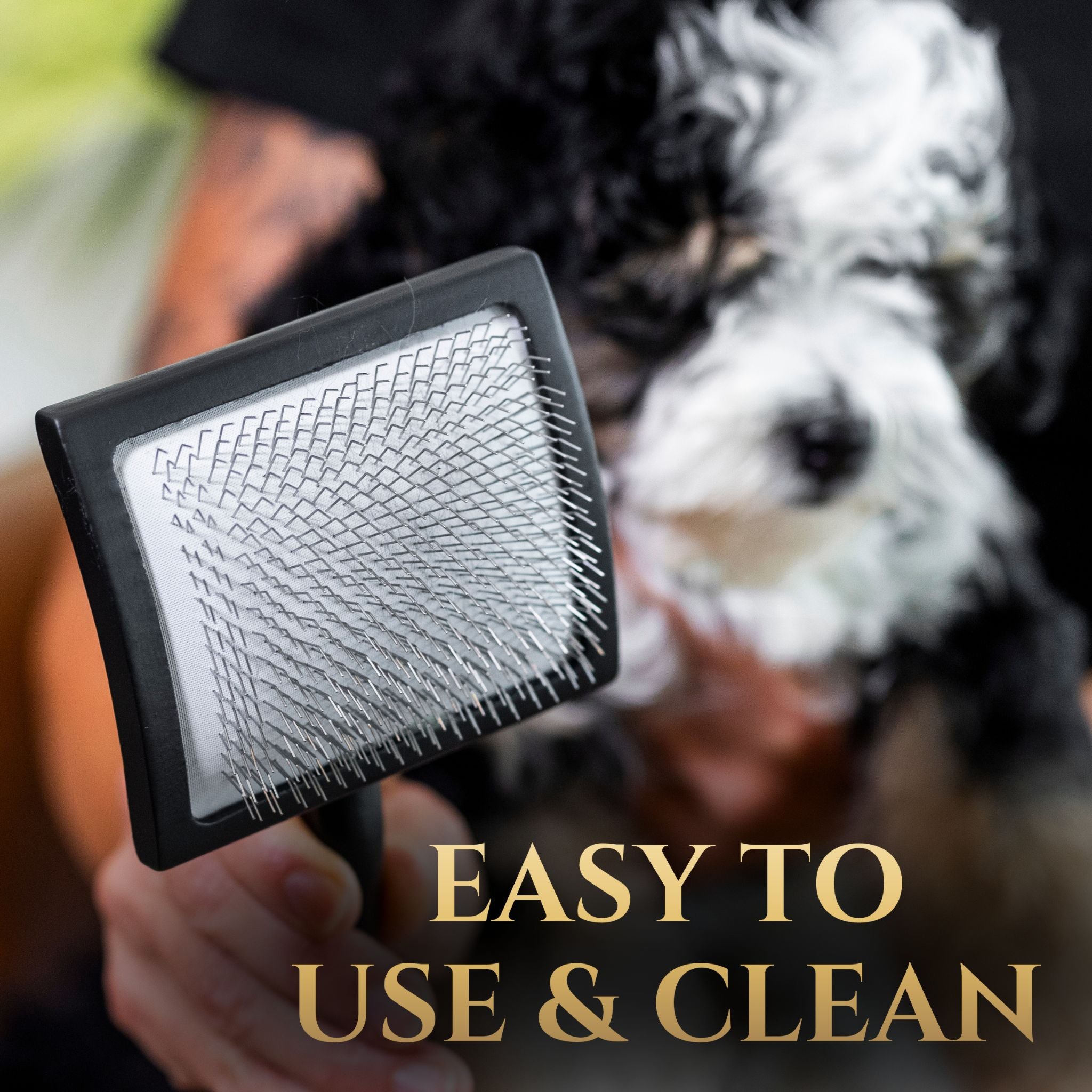 Dog Slicker Brush – Comfort Glide Pins for All Coat Types | Wasatch Pup