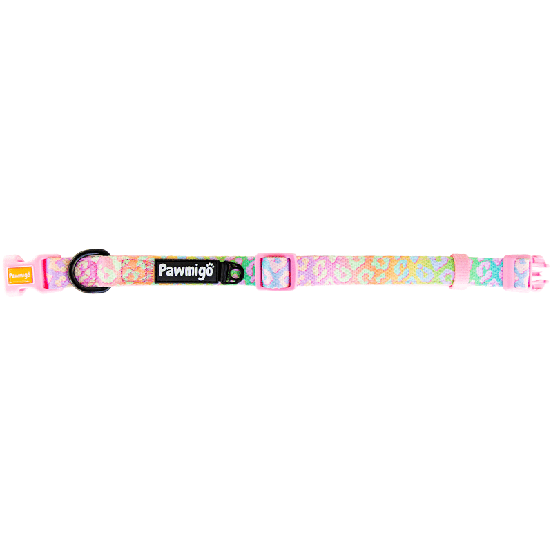 Slumber Pawty Classic Collar – Collar | Doggo Dream Shop