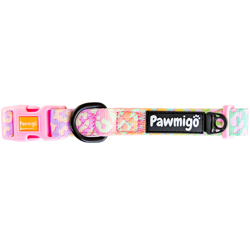Slumber Pawty Classic Collar – Collar | Doggo Dream Shop