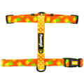 Snack Shack Free-Fit Harness – Free-Fit Harness | Doggo Dream Shop