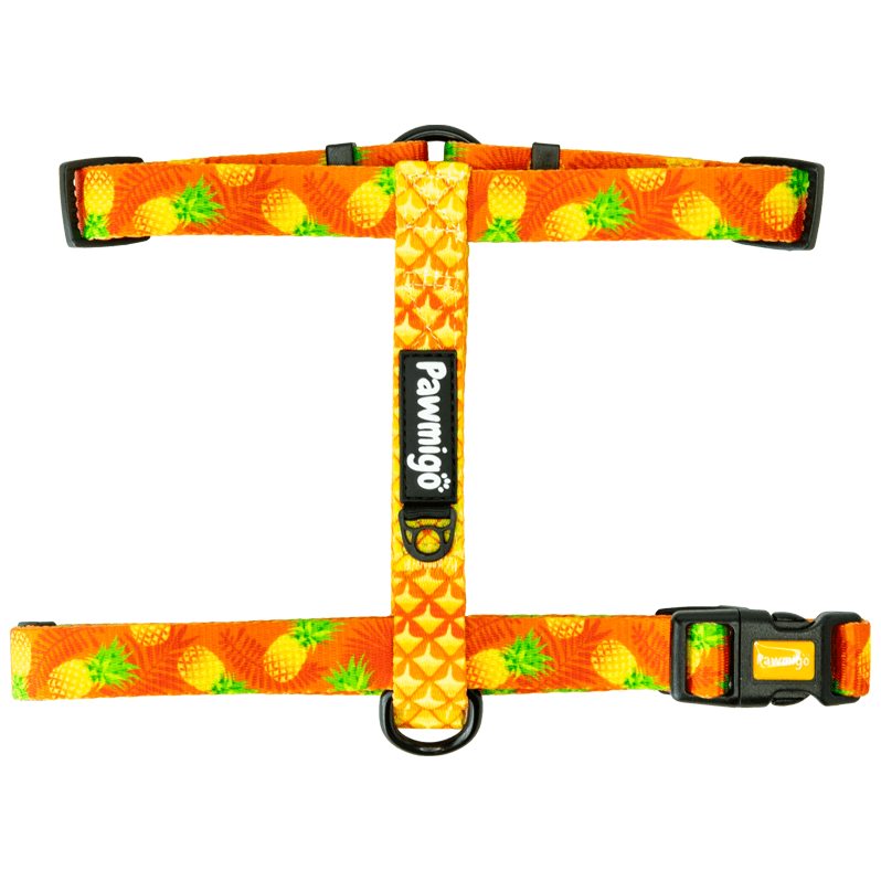 Snack Shack Free-Fit Harness – Free-Fit Harness | Doggo Dream Shop