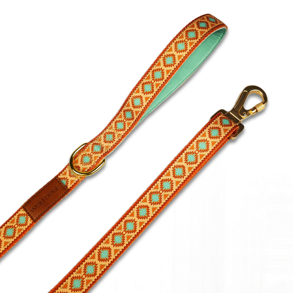 Southwest Spirit Leash – Leashes | Doggo Dream Shop