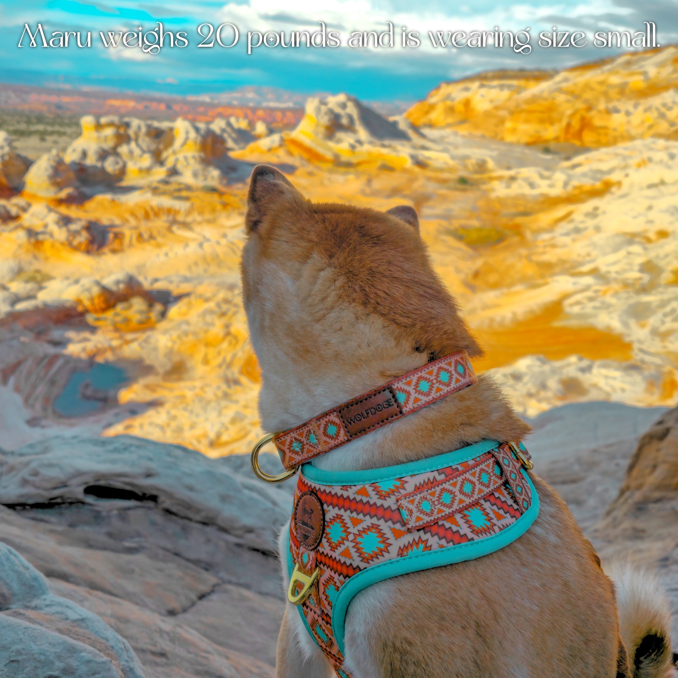 Southwest Spirit Collar – Collars | Doggo Dream Shop