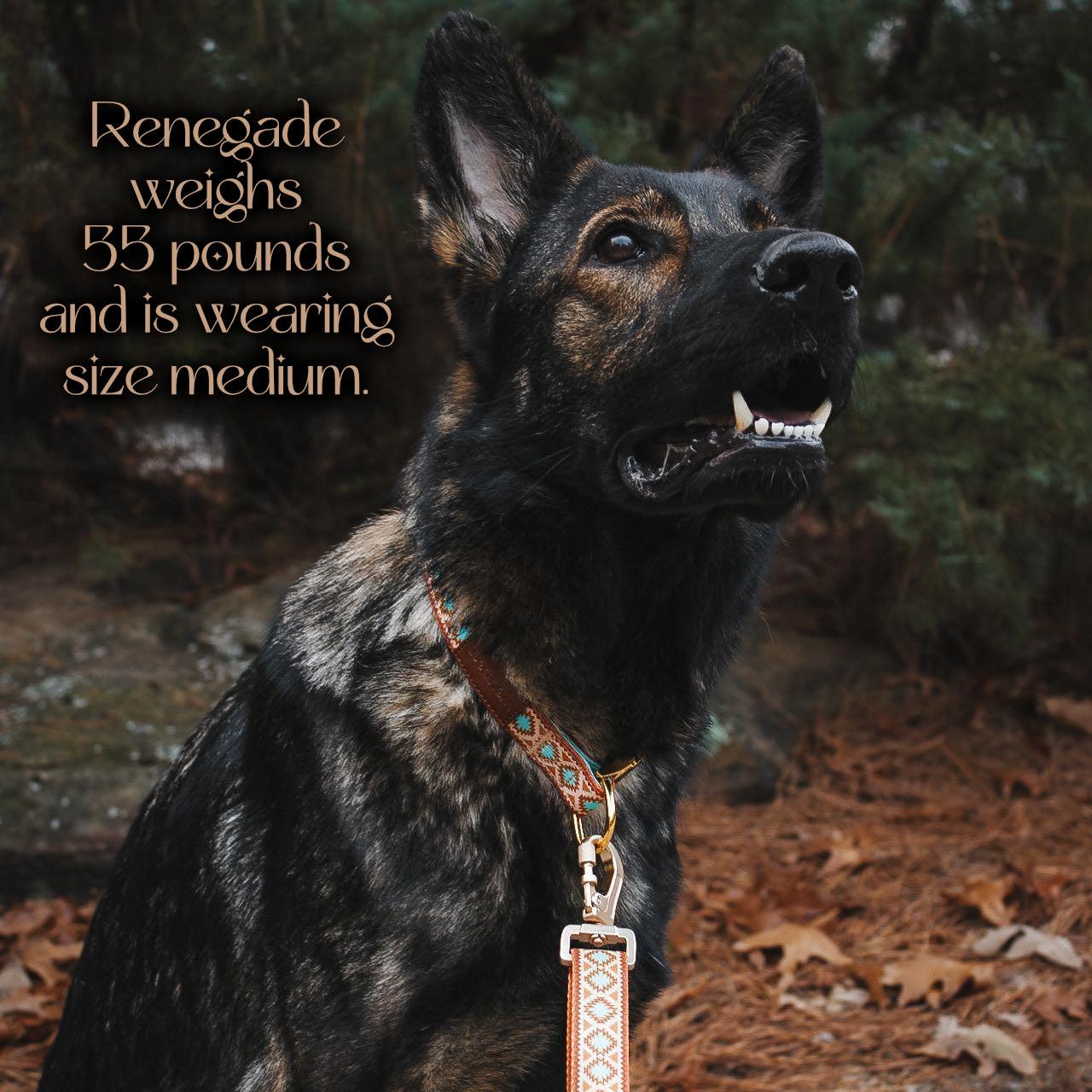 Southwest Spirit Collar – Collars | Doggo Dream Shop