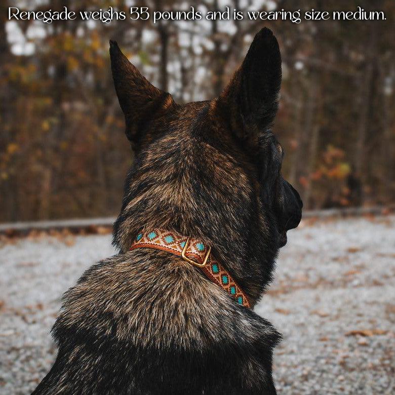 Southwest Spirit Collar – Collars | Doggo Dream Shop