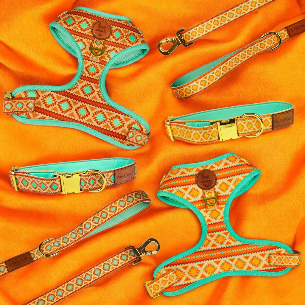 Desert Dream Collar – Collars | Doggo Dream Shop
