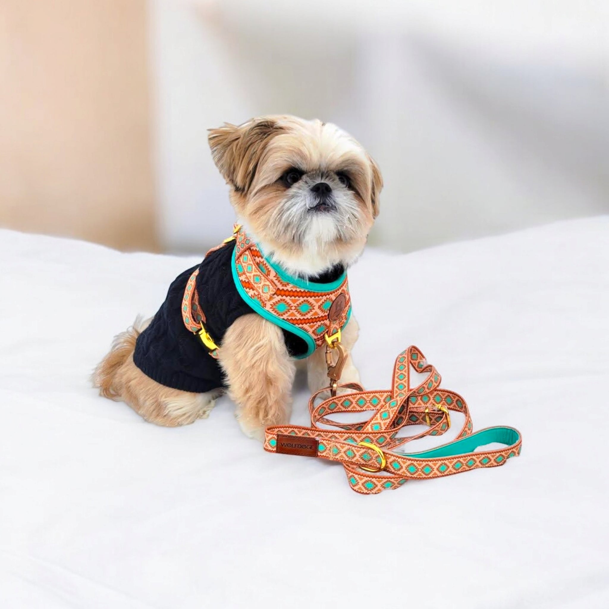 Southwest Spirit Leash – Leashes | Doggo Dream Shop