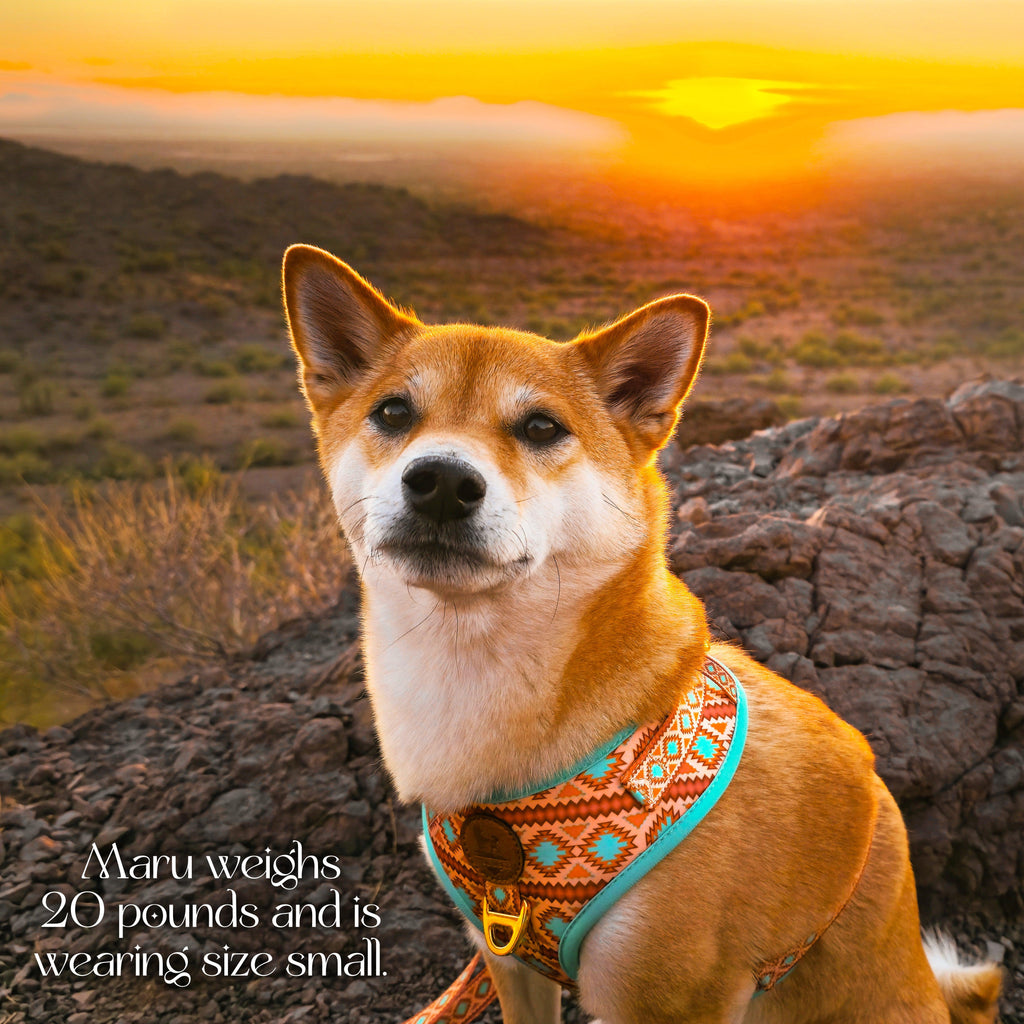 Southwest Spirit Harness – Harnesses | Doggo Dream Shop