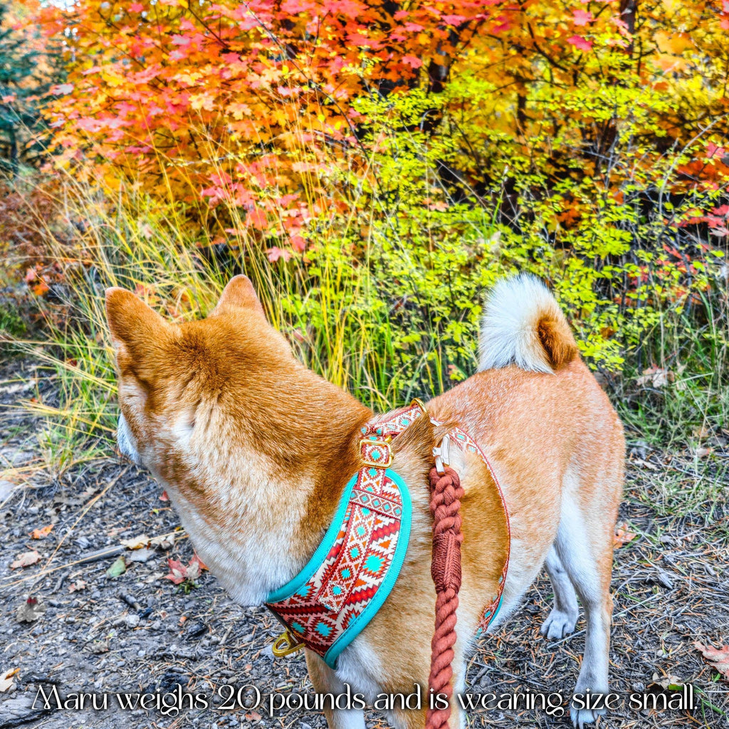 Southwest Spirit Harness – Harnesses | Doggo Dream Shop