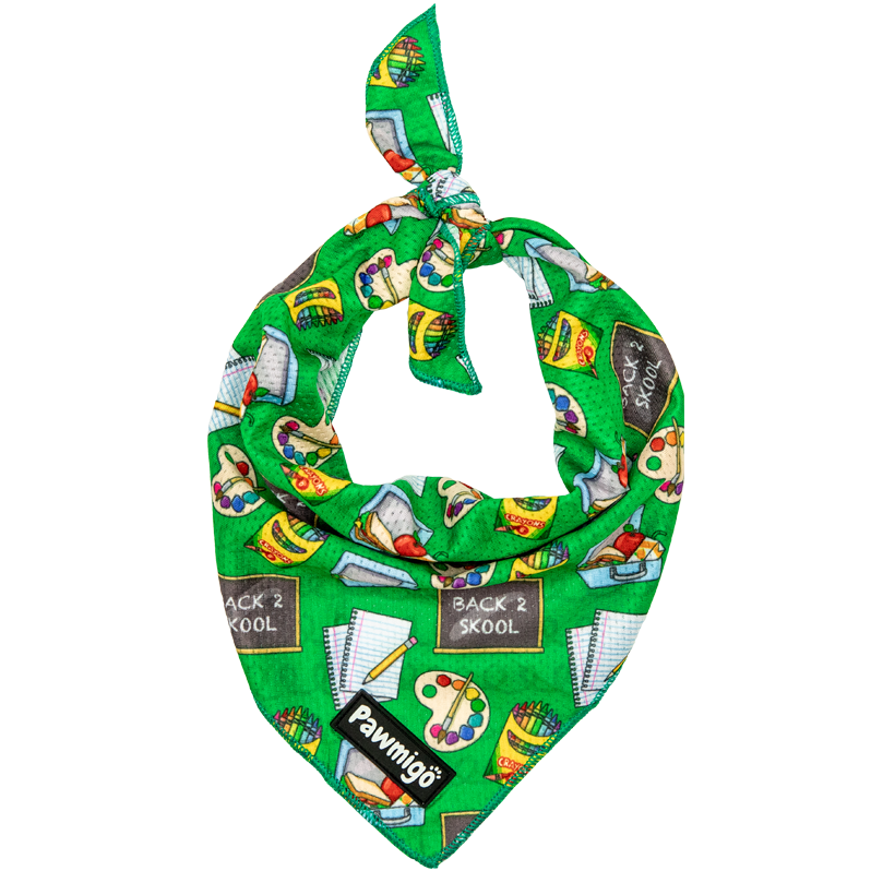 Teacher's Pet Cooling Bandana – Seasonal Bandana | Doggo Dream Shop