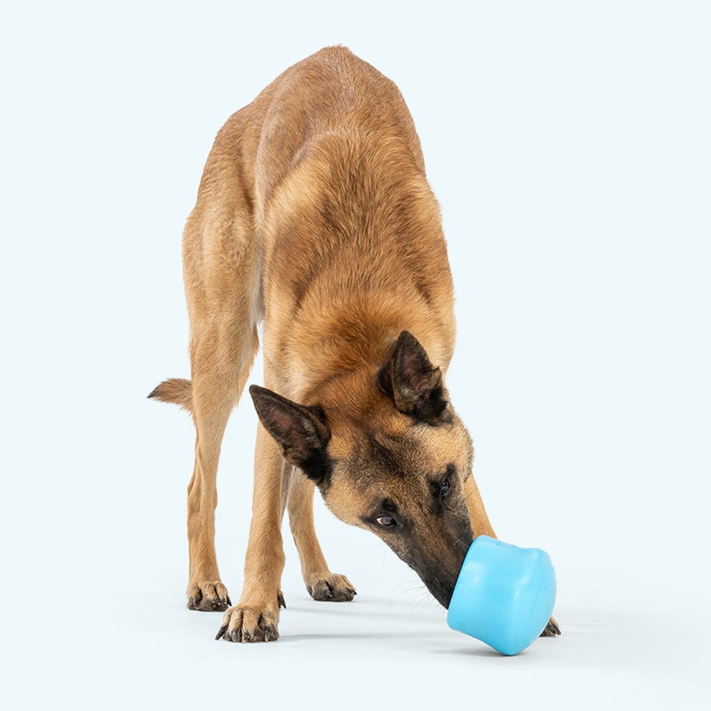 West Paw Toppl Treat Dispensing Dog Toy