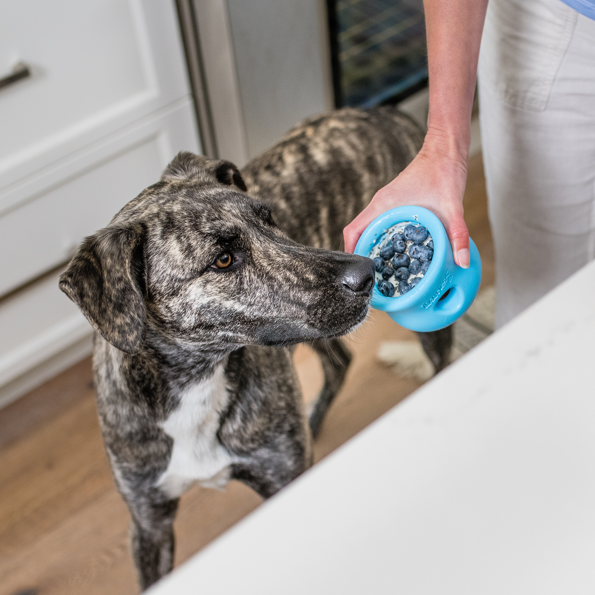 West Paw Toppl Treat Dispensing Dog Toy