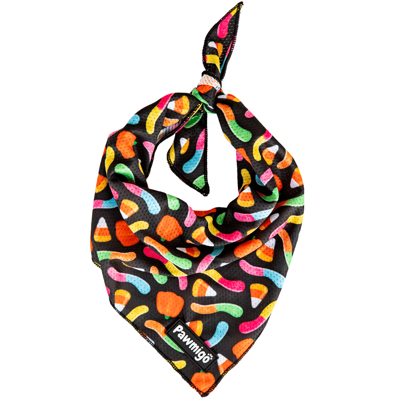 Trick N Treat Cooling Bandana – Seasonal Bandana | Doggo Dream Shop