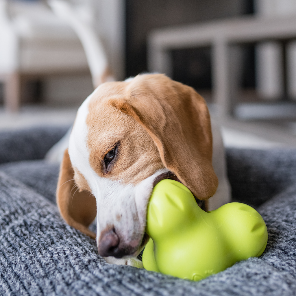 West Paw Tux Treat Dispensing Chew Toy for Dogs