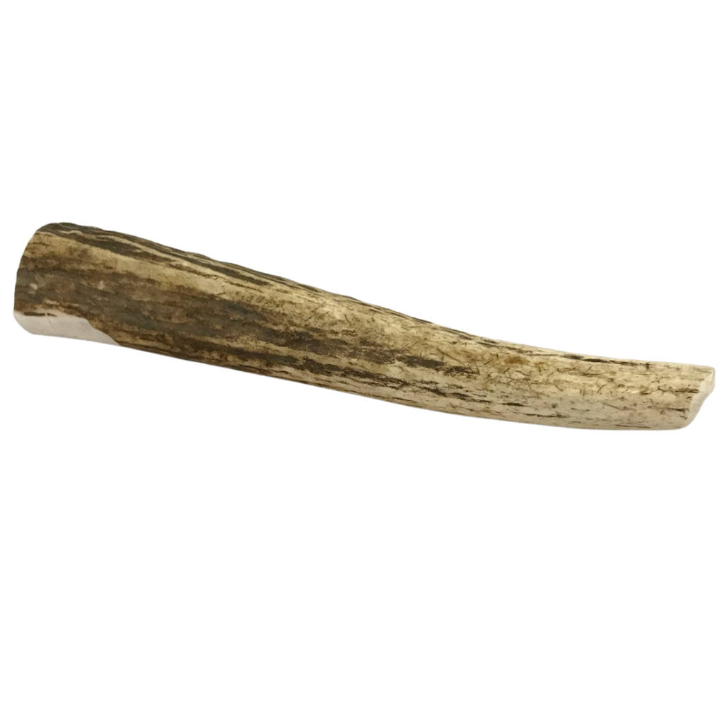 Large Whole Elk Antler Dog Chew | The Pet Gourmet