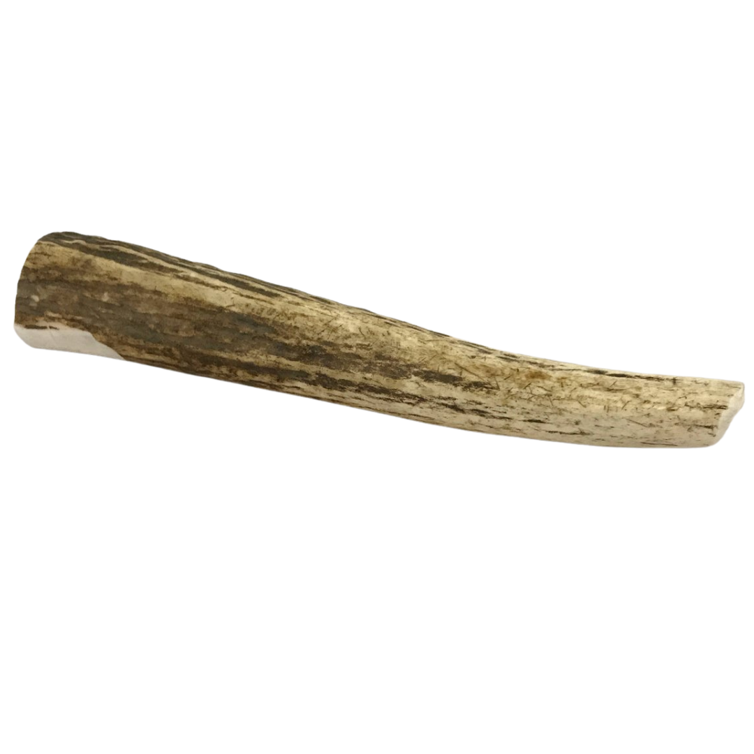 Large Whole Elk Antler Dog Chew | The Pet Gourmet