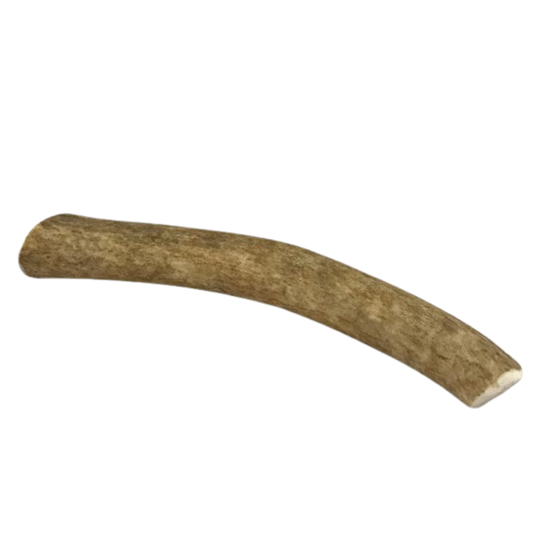 Medium Whole Elk Antler Dog Chew | The Pet Gourmet