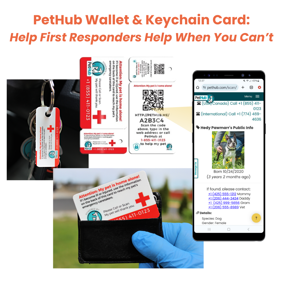 PetHub QR Pet ID Wallet & Keychain Card – Emergency Backup – Pet ID Accessory | Doggo Dream Shop