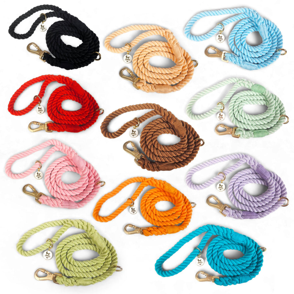 Wolfdoge Rope Dog Leash – Leashes | Doggo Dream Shop