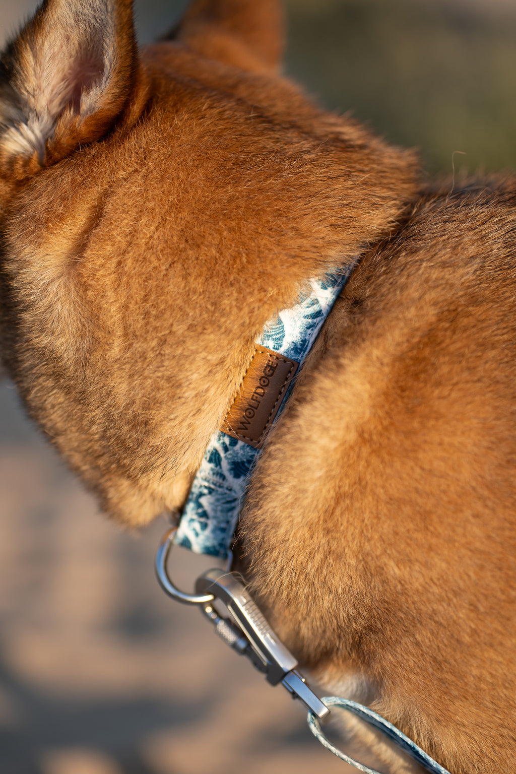 Wolfdoge Great Wave Dog Collar – Collars | Doggo Dream Shop