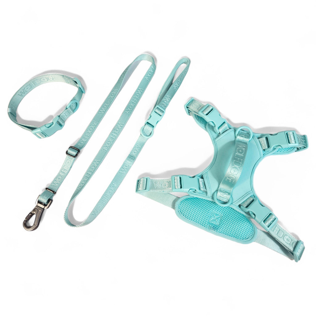 Wolfdoge Signature Harness – Harnesses | Doggo Dream Shop