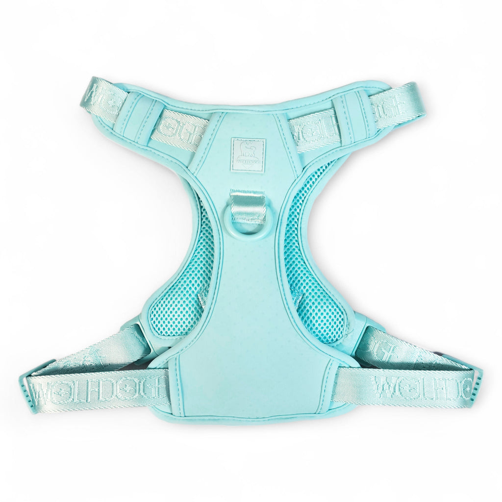 Wolfdoge Signature Harness – Harnesses | Doggo Dream Shop