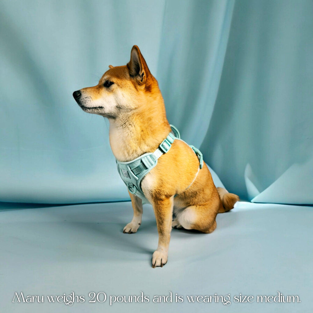 Wolfdoge Signature Harness – Harnesses | Doggo Dream Shop