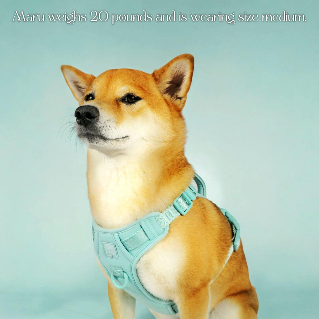 Wolfdoge Signature Harness – Harnesses | Doggo Dream Shop