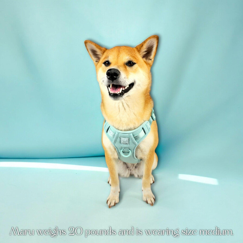 Wolfdoge Signature Harness – Harnesses | Doggo Dream Shop