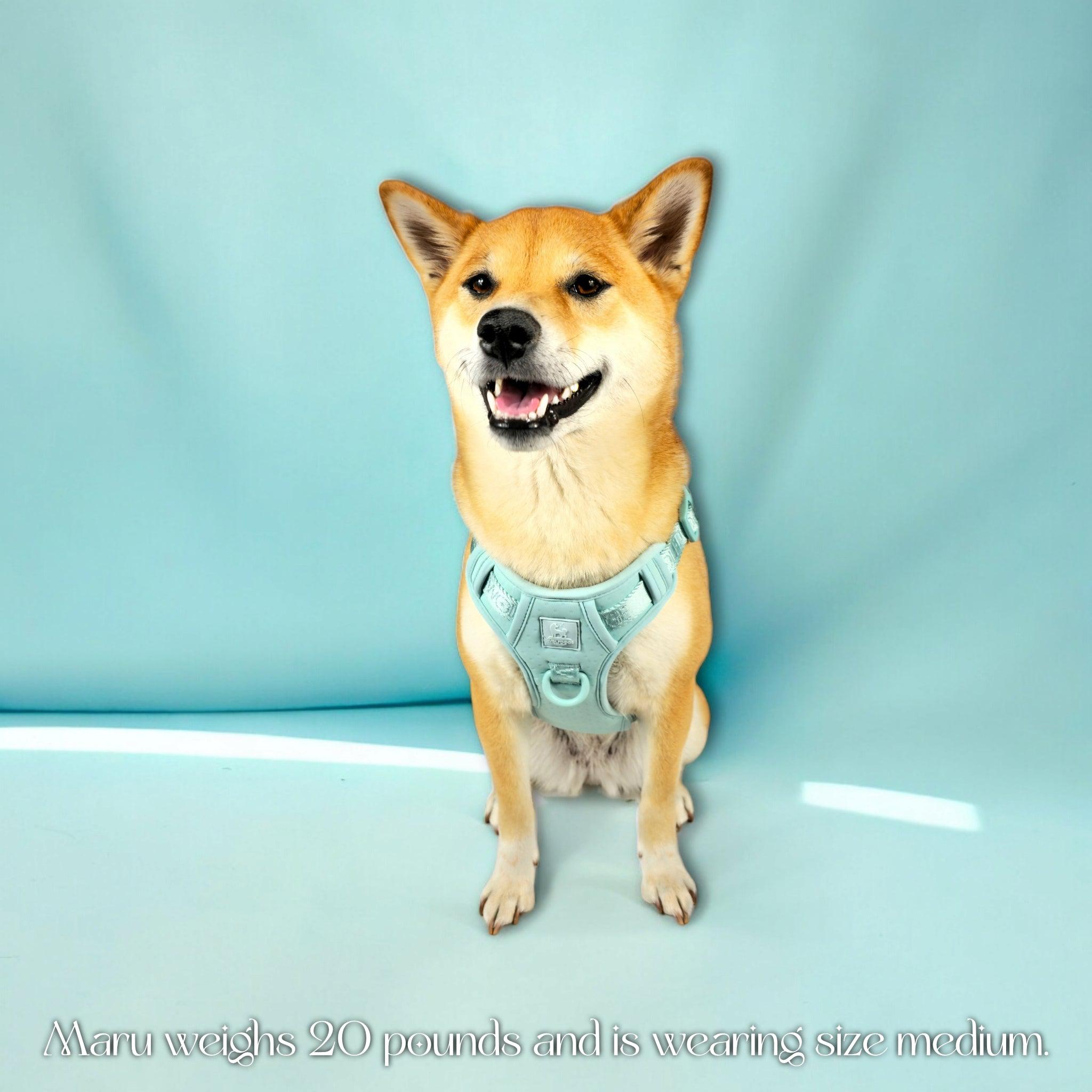 Wolfdoge Signature Harness – Harnesses | Doggo Dream Shop