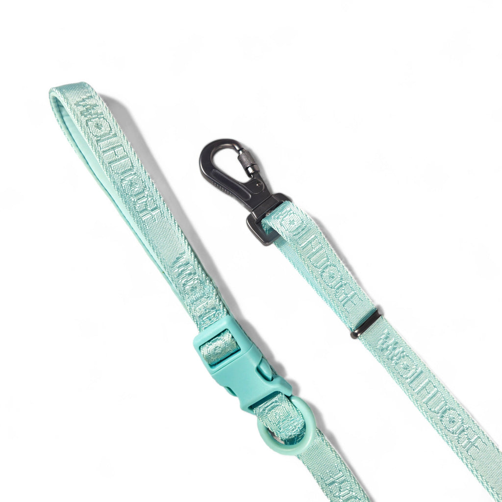 Wolfdoge Signature Leash – Leashes | Doggo Dream Shop