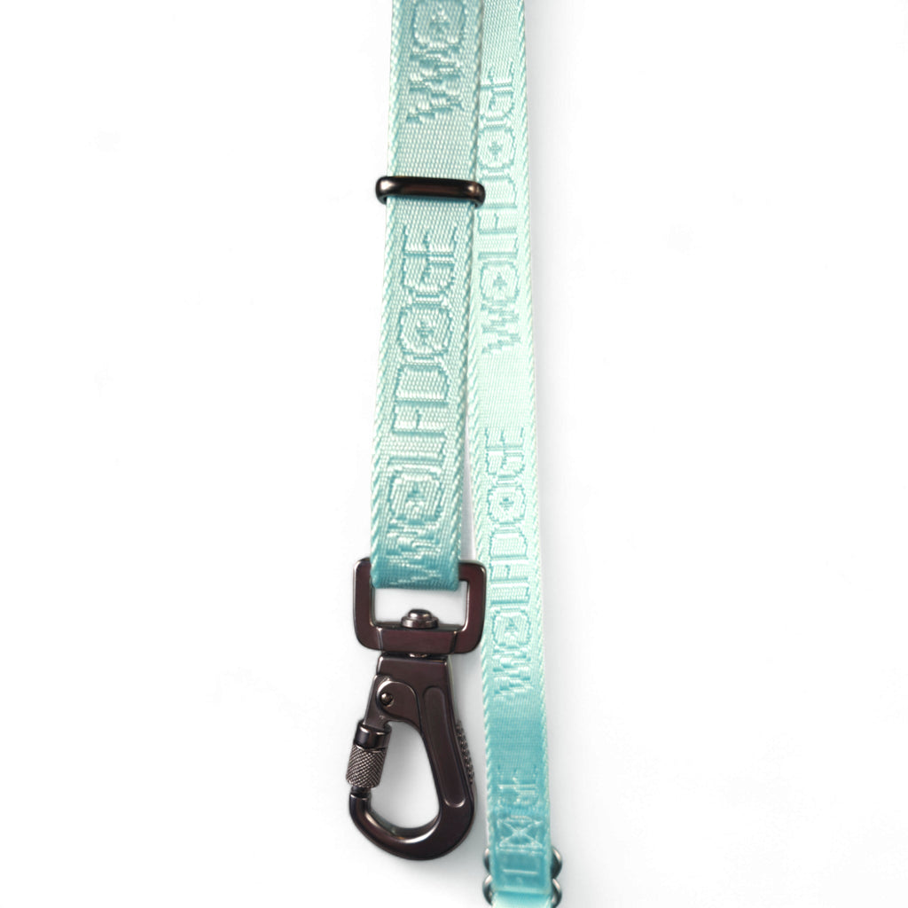 Wolfdoge Signature Leash – Leashes | Doggo Dream Shop