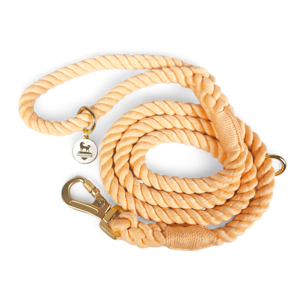 Wolfdoge Rope Dog Leash – Leashes | Doggo Dream Shop