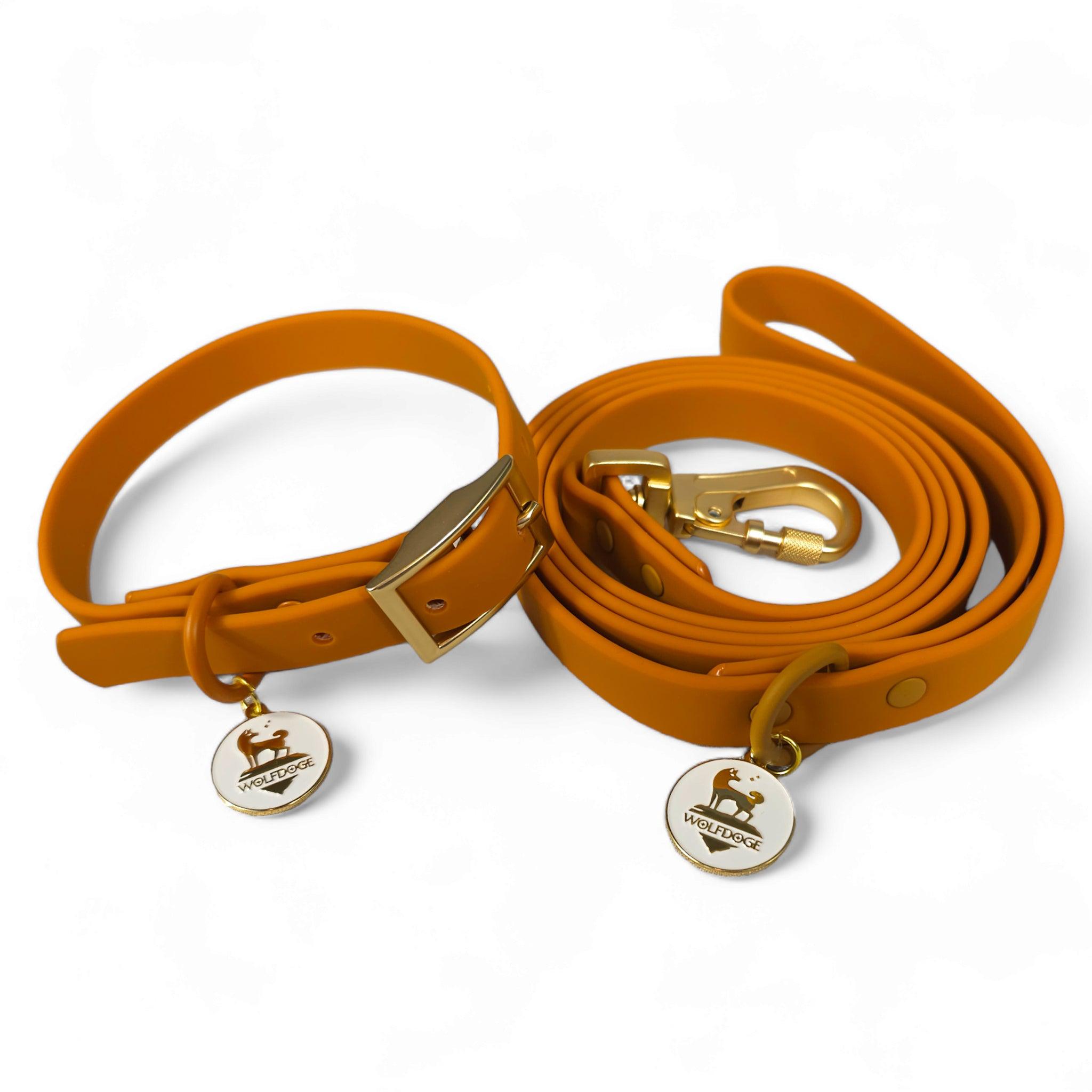 Waterproof Leash – Leashes | Doggo Dream Shop