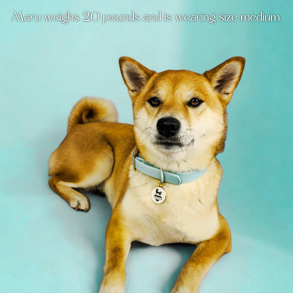 Wolfdoge Waterproof Dog Collar – Stylish, Durable & Easy?Clean – Collars | Doggo Dream Shop