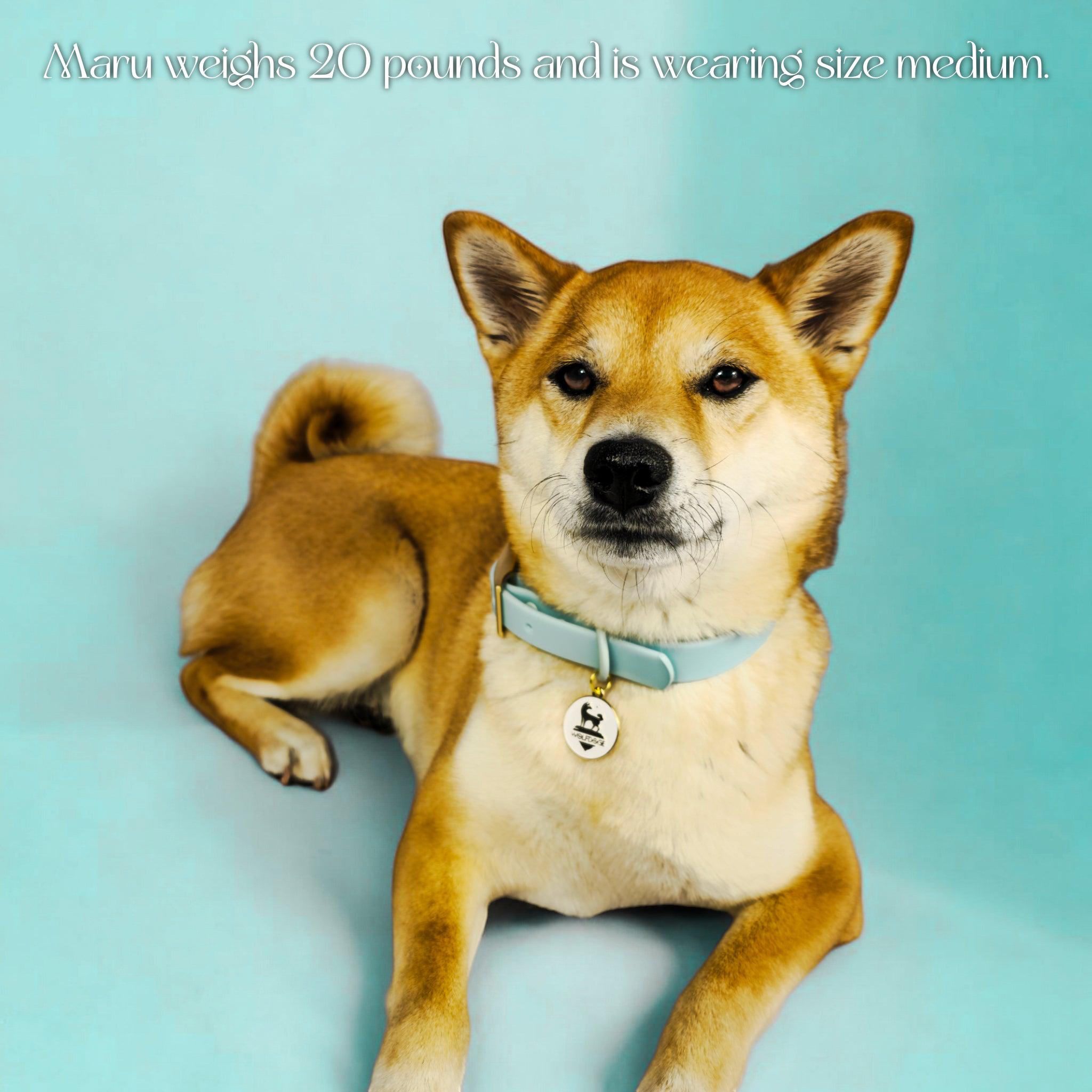 Wolfdoge Waterproof Dog Collar – Stylish, Durable & Easy?Clean – Collars | Doggo Dream Shop