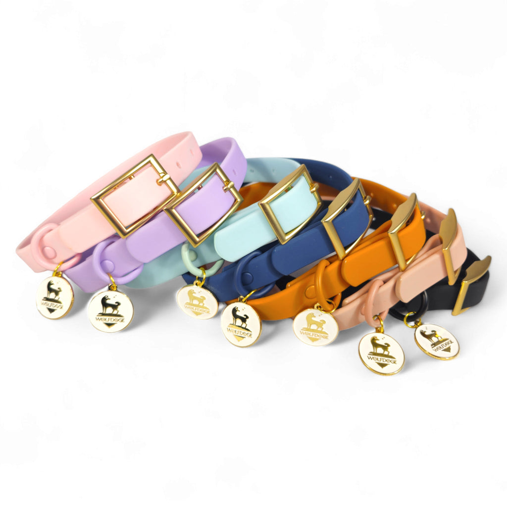Wolfdoge Waterproof Dog Collar – Stylish, Durable & Easy?Clean – Collars | Doggo Dream Shop
