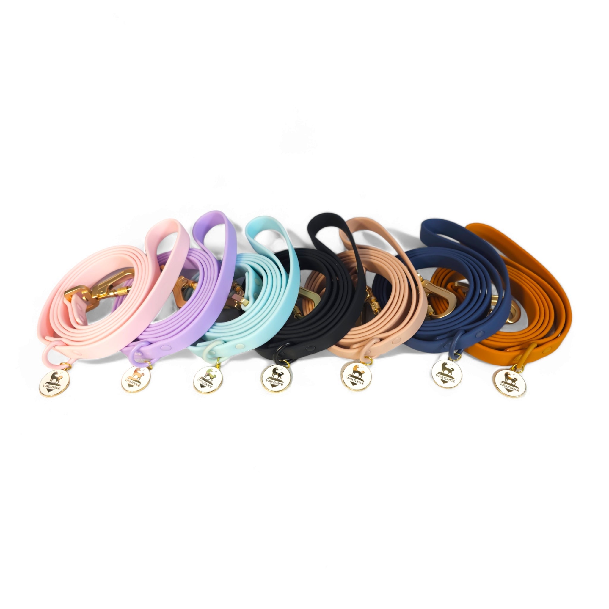 Waterproof Leash – Leashes | Doggo Dream Shop