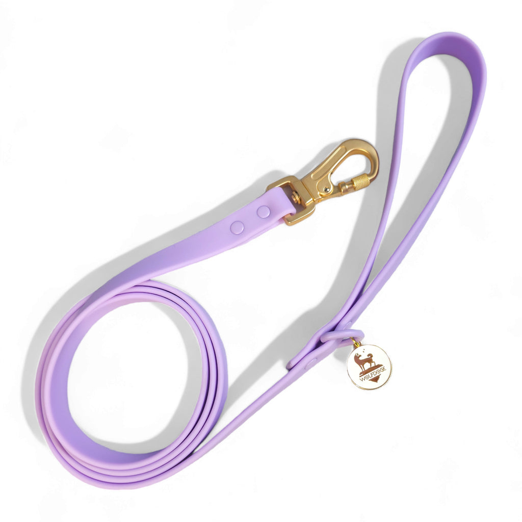 Waterproof Leash – Leashes | Doggo Dream Shop