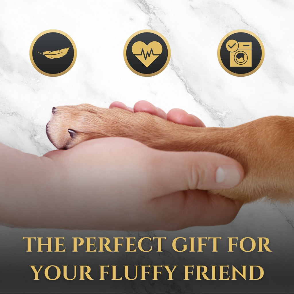Zen Pup Calming Dog Toy with Heartbeat | Wasatch Pup