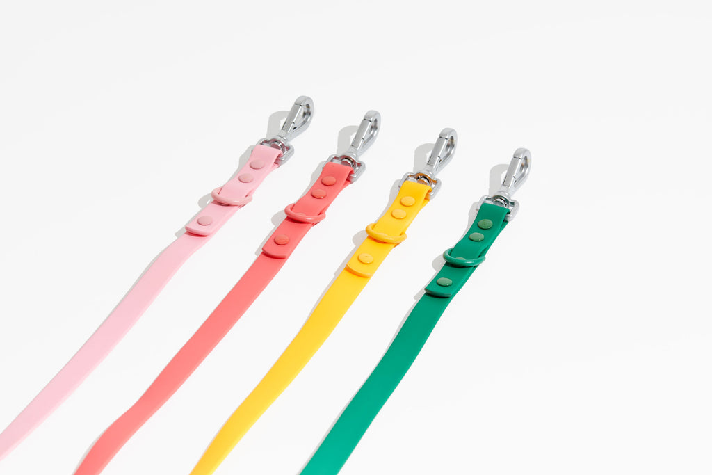 Luxe Leash - Soleil – Leash | Doggo Dream Shop
