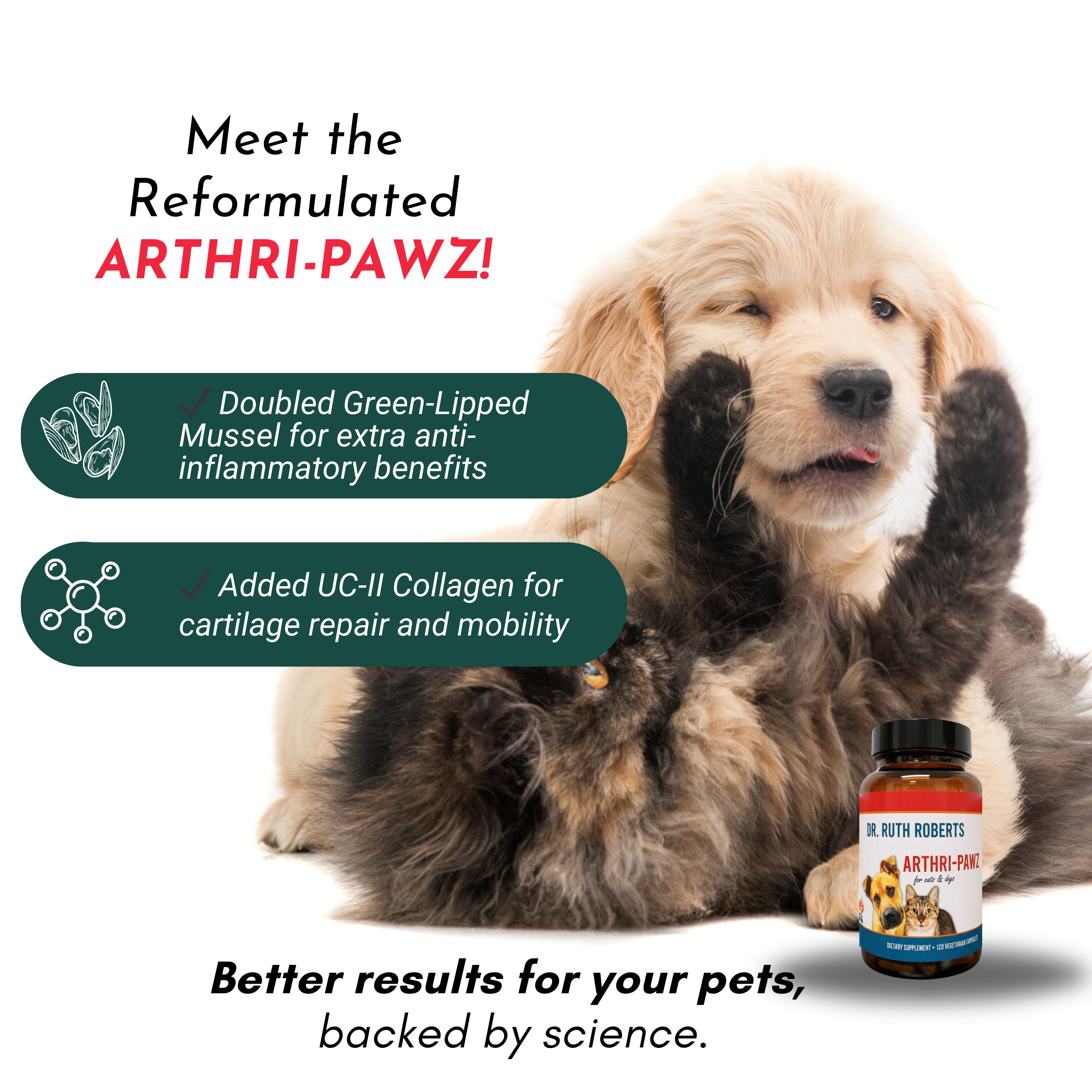 Arthri-Pawz Joint Supplement for Dogs & Cats – Glucosamine, UC-II Collagen | Dr. Ruth Roberts