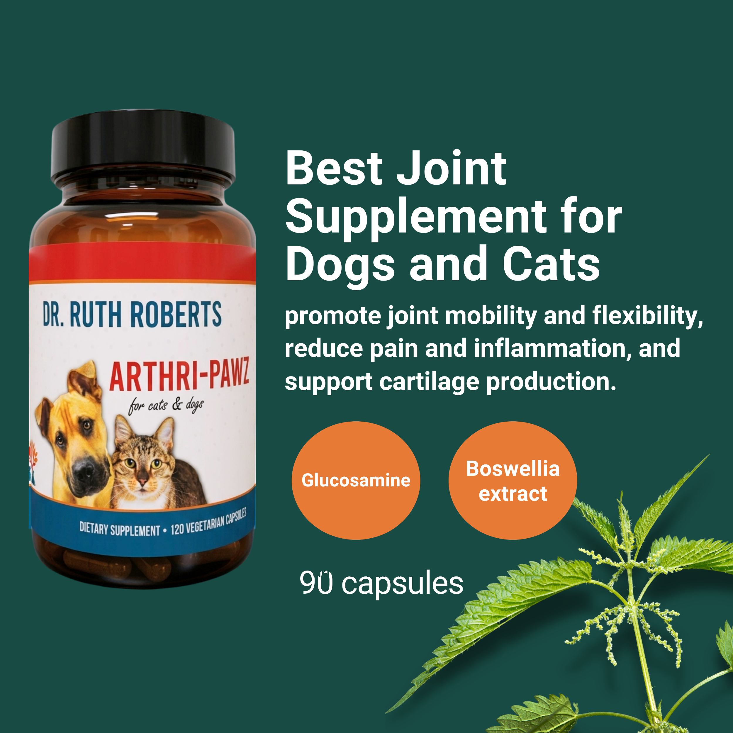 Arthri-Pawz Joint Supplement for Dogs & Cats – Glucosamine, UC-II Collagen | Dr. Ruth Roberts