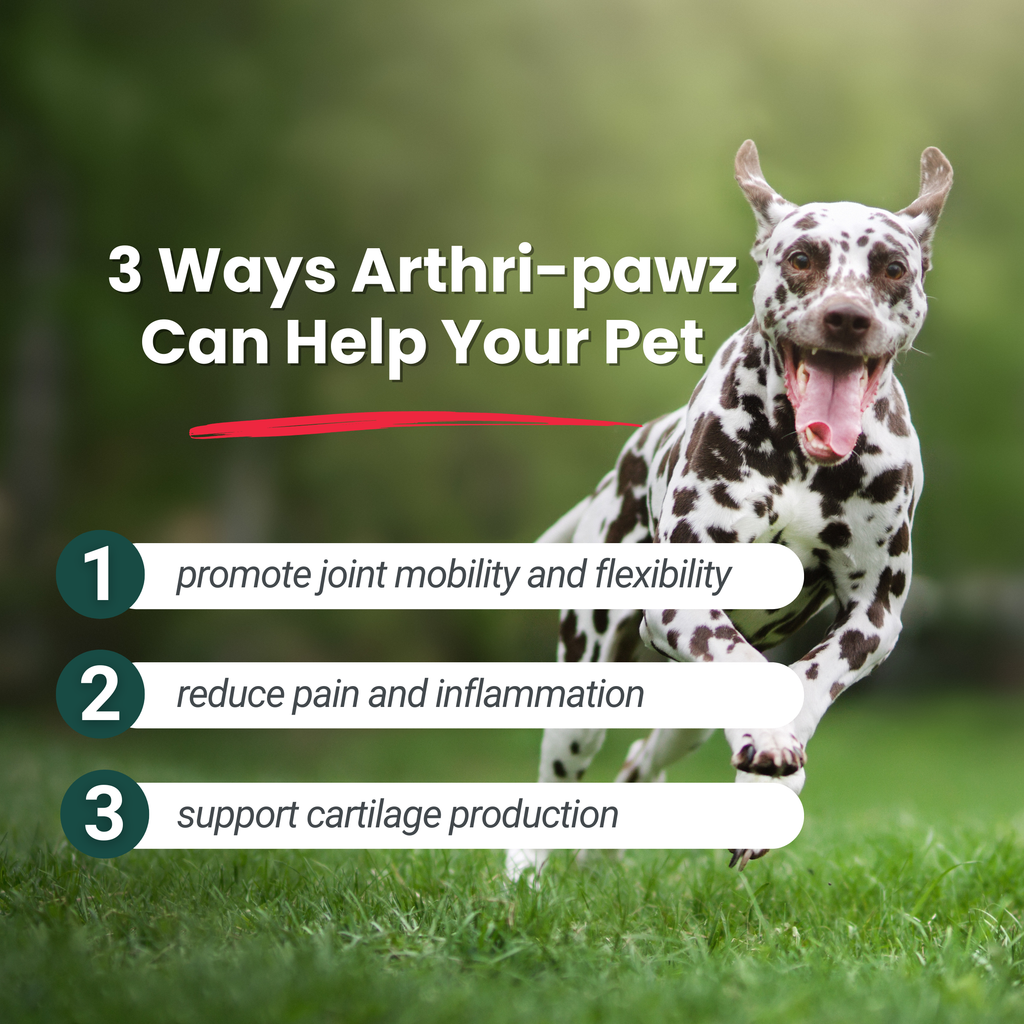 Arthri-Pawz Joint Supplement for Dogs & Cats – Glucosamine, UC-II Collagen | Dr. Ruth Roberts