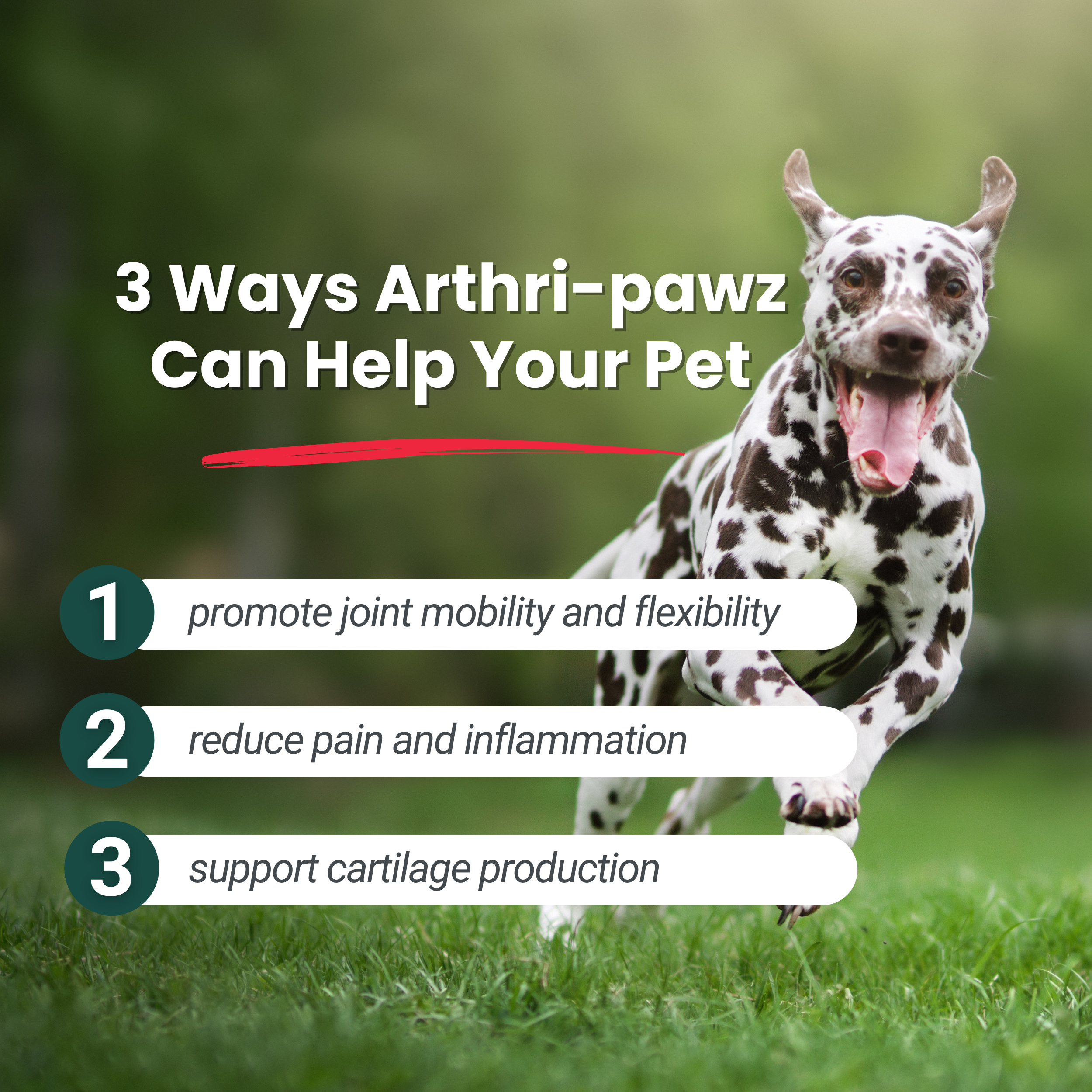 Arthri-Pawz Joint Supplement for Dogs & Cats – Glucosamine, UC-II Collagen | Dr. Ruth Roberts