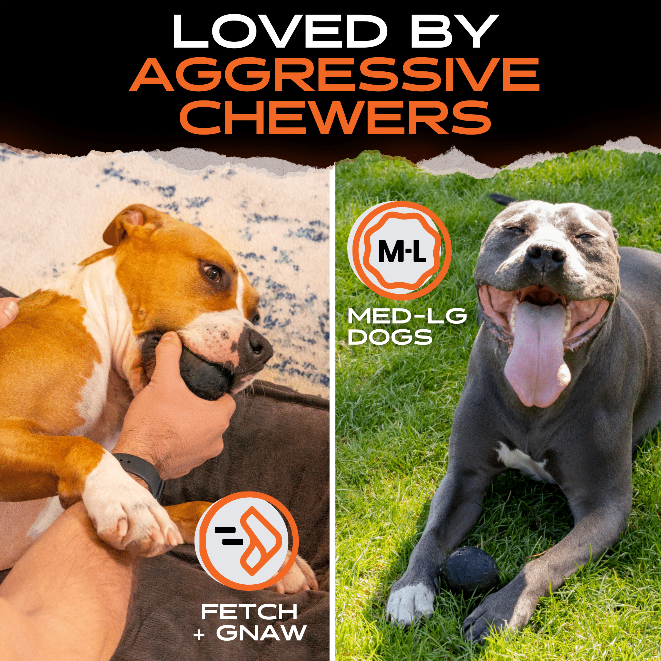 Beast Ball Rubber Dog Toy for Aggressive Chewers | Monster K9